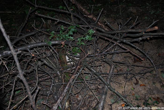 Dead Witch Project II